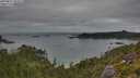./images/calvert/foggy-cove/20250813/foggy-cove20250813_204508M.jpg