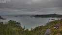 ./images/calvert/foggy-cove/20250813/foggy-cove20250813_205008M.jpg