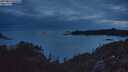 ./images/calvert/foggy-cove/20250814/foggy-cove20250814_054509M.jpg