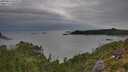 ./images/calvert/foggy-cove/20250814/foggy-cove20250814_065009M.jpg