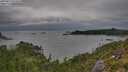 ./images/calvert/foggy-cove/20250814/foggy-cove20250814_073010M.jpg