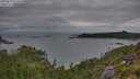 ./images/calvert/foggy-cove/20250814/foggy-cove20250814_075010M.jpg