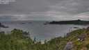./images/calvert/foggy-cove/20250814/foggy-cove20250814_080010M.jpg