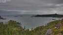 ./images/calvert/foggy-cove/20250814/foggy-cove20250814_081010M.jpg