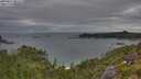 ./images/calvert/foggy-cove/20250814/foggy-cove20250814_081509M.jpg