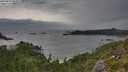 ./images/calvert/foggy-cove/20250814/foggy-cove20250814_084009M.jpg