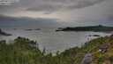 ./images/calvert/foggy-cove/20250814/foggy-cove20250814_090011M.jpg