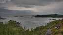 ./images/calvert/foggy-cove/20250814/foggy-cove20250814_090509M.jpg