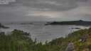 ./images/calvert/foggy-cove/20250814/foggy-cove20250814_091511M.jpg