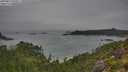 ./images/calvert/foggy-cove/20250814/foggy-cove20250814_093011M.jpg