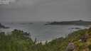 ./images/calvert/foggy-cove/20250814/foggy-cove20250814_101510M.jpg