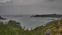 ./images/calvert/foggy-cove/20250814/foggy-cove20250814_102009M.jpg