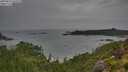 ./images/calvert/foggy-cove/20250814/foggy-cove20250814_104508M.jpg