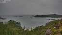 ./images/calvert/foggy-cove/20250814/foggy-cove20250814_110011M.jpg