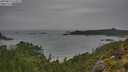 ./images/calvert/foggy-cove/20250814/foggy-cove20250814_112009M.jpg