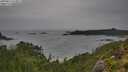 ./images/calvert/foggy-cove/20250814/foggy-cove20250814_113011M.jpg