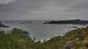 ./images/calvert/foggy-cove/20250814/foggy-cove20250814_115510M.jpg