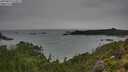 ./images/calvert/foggy-cove/20250814/foggy-cove20250814_123011M.jpg