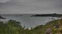 ./images/calvert/foggy-cove/20250814/foggy-cove20250814_124010M.jpg