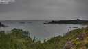 ./images/calvert/foggy-cove/20250814/foggy-cove20250814_130509M.jpg