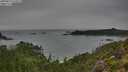 ./images/calvert/foggy-cove/20250814/foggy-cove20250814_131011M.jpg