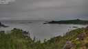 ./images/calvert/foggy-cove/20250814/foggy-cove20250814_133510M.jpg