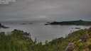 ./images/calvert/foggy-cove/20250814/foggy-cove20250814_134009M.jpg