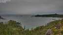 ./images/calvert/foggy-cove/20250814/foggy-cove20250814_140010M.jpg