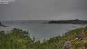 ./images/calvert/foggy-cove/20250814/foggy-cove20250814_142510M.jpg