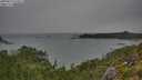 ./images/calvert/foggy-cove/20250814/foggy-cove20250814_143011M.jpg