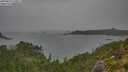 ./images/calvert/foggy-cove/20250814/foggy-cove20250814_150011M.jpg