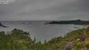 ./images/calvert/foggy-cove/20250814/foggy-cove20250814_153513M.jpg
