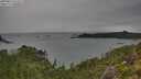 ./images/calvert/foggy-cove/20250814/foggy-cove20250814_154509M.jpg