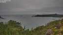 ./images/calvert/foggy-cove/20250814/foggy-cove20250814_164511M.jpg
