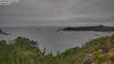 ./images/calvert/foggy-cove/20250814/foggy-cove20250814_165011M.jpg