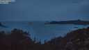 ./images/calvert/foggy-cove/20250815/foggy-cove20250815_055508M.jpg