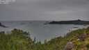 ./images/calvert/foggy-cove/20250815/foggy-cove20250815_070011M.jpg