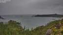 ./images/calvert/foggy-cove/20250815/foggy-cove20250815_073510M.jpg