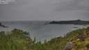 ./images/calvert/foggy-cove/20250815/foggy-cove20250815_074010M.jpg