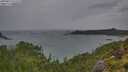 ./images/calvert/foggy-cove/20250815/foggy-cove20250815_074510M.jpg