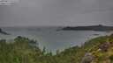 ./images/calvert/foggy-cove/20250815/foggy-cove20250815_075509M.jpg