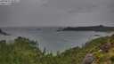./images/calvert/foggy-cove/20250815/foggy-cove20250815_083011M.jpg