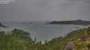 ./images/calvert/foggy-cove/20250815/foggy-cove20250815_092010M.jpg