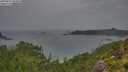 ./images/calvert/foggy-cove/20250815/foggy-cove20250815_094010M.jpg