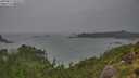 ./images/calvert/foggy-cove/20250815/foggy-cove20250815_095008M.jpg