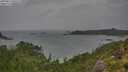 ./images/calvert/foggy-cove/20250815/foggy-cove20250815_095509M.jpg