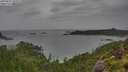 ./images/calvert/foggy-cove/20250815/foggy-cove20250815_102009M.jpg