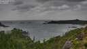 ./images/calvert/foggy-cove/20250815/foggy-cove20250815_102510M.jpg