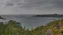 ./images/calvert/foggy-cove/20250815/foggy-cove20250815_103009M.jpg