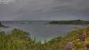 ./images/calvert/foggy-cove/20250815/foggy-cove20250815_110510M.jpg